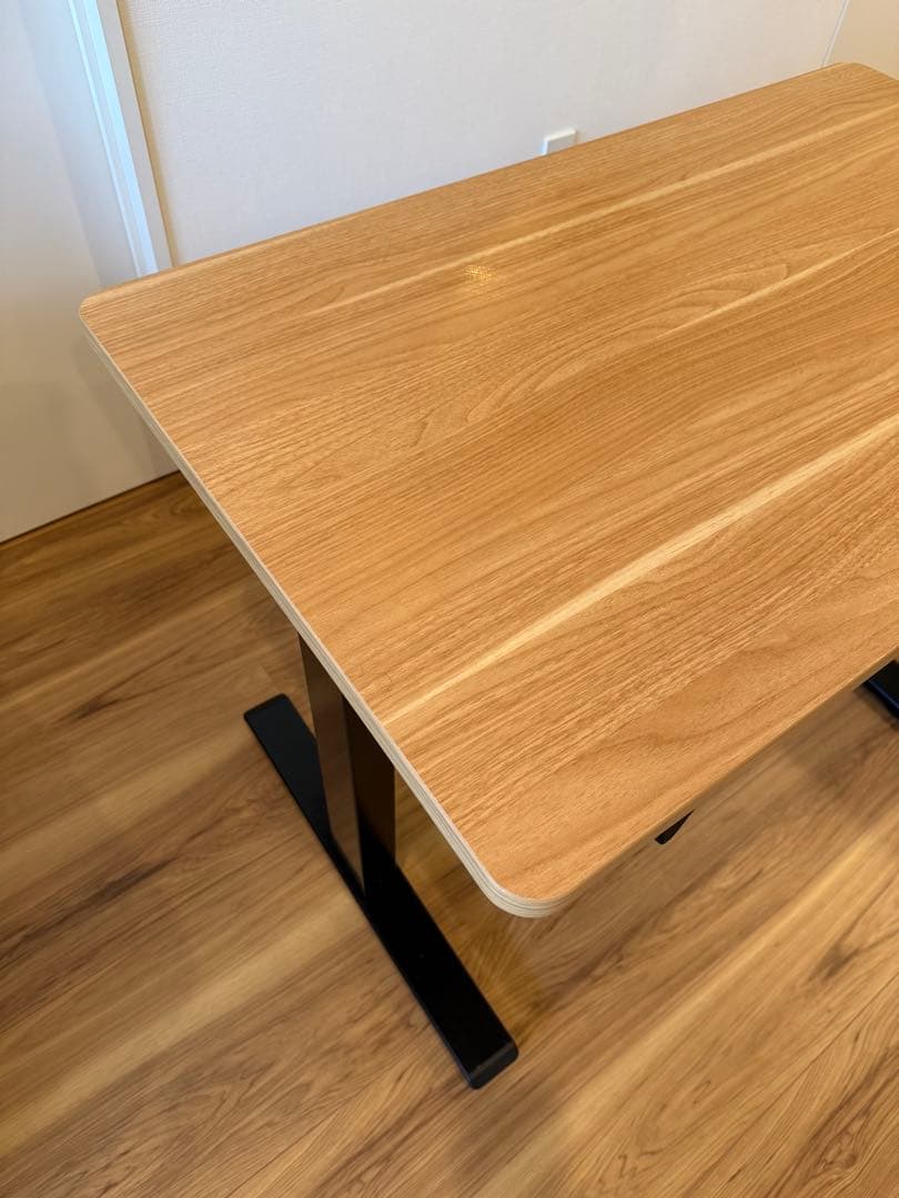 Flexispot 電動昇降スタンディングデスク・脚フレーム EG1天板セット