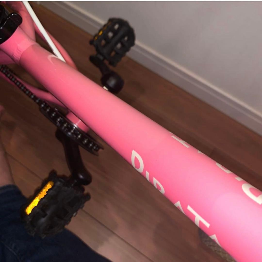 ビアンキ Pirata 16インチ 自転車