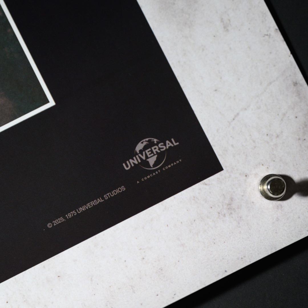 【映画館用両面ポスター】ジョーズ / Jaws 50th Anniversary