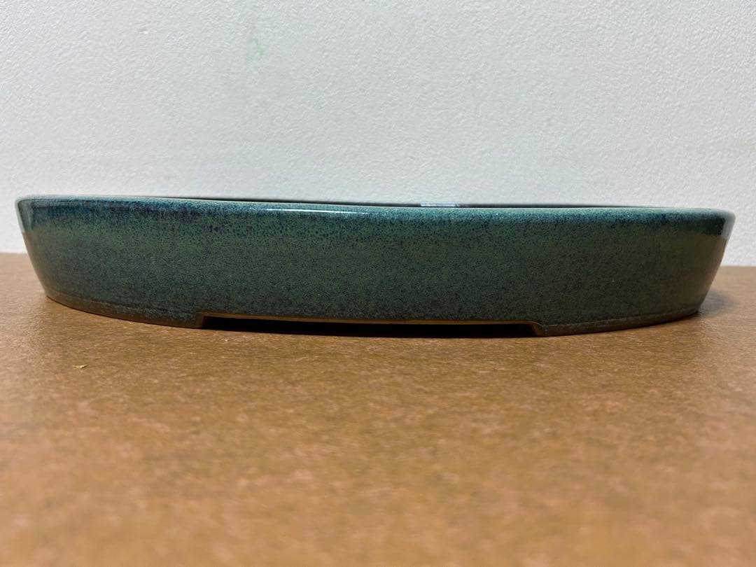 碧水　盆栽鉢　山野草