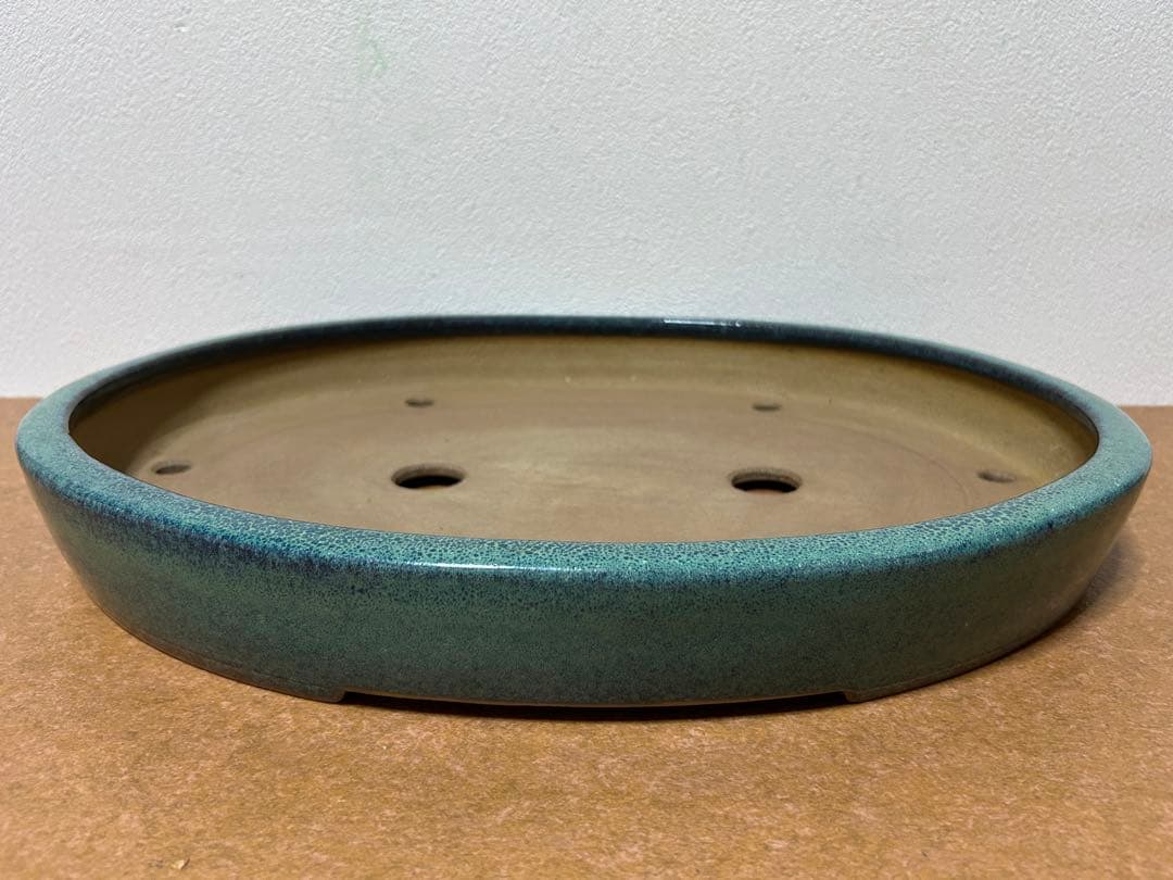 碧水　盆栽鉢　山野草