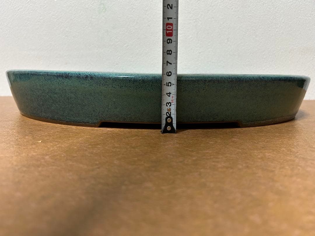 碧水　盆栽鉢　山野草