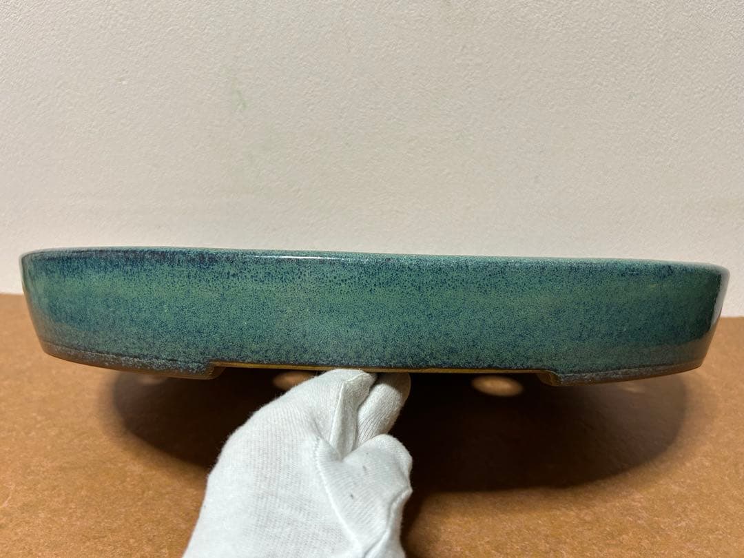 碧水　盆栽鉢　山野草