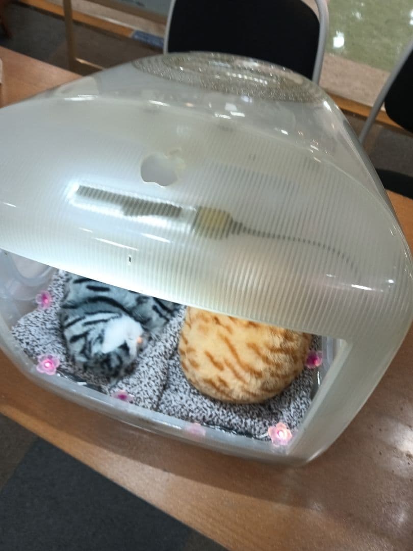 初代　iMac リサイクル　猫ハウス