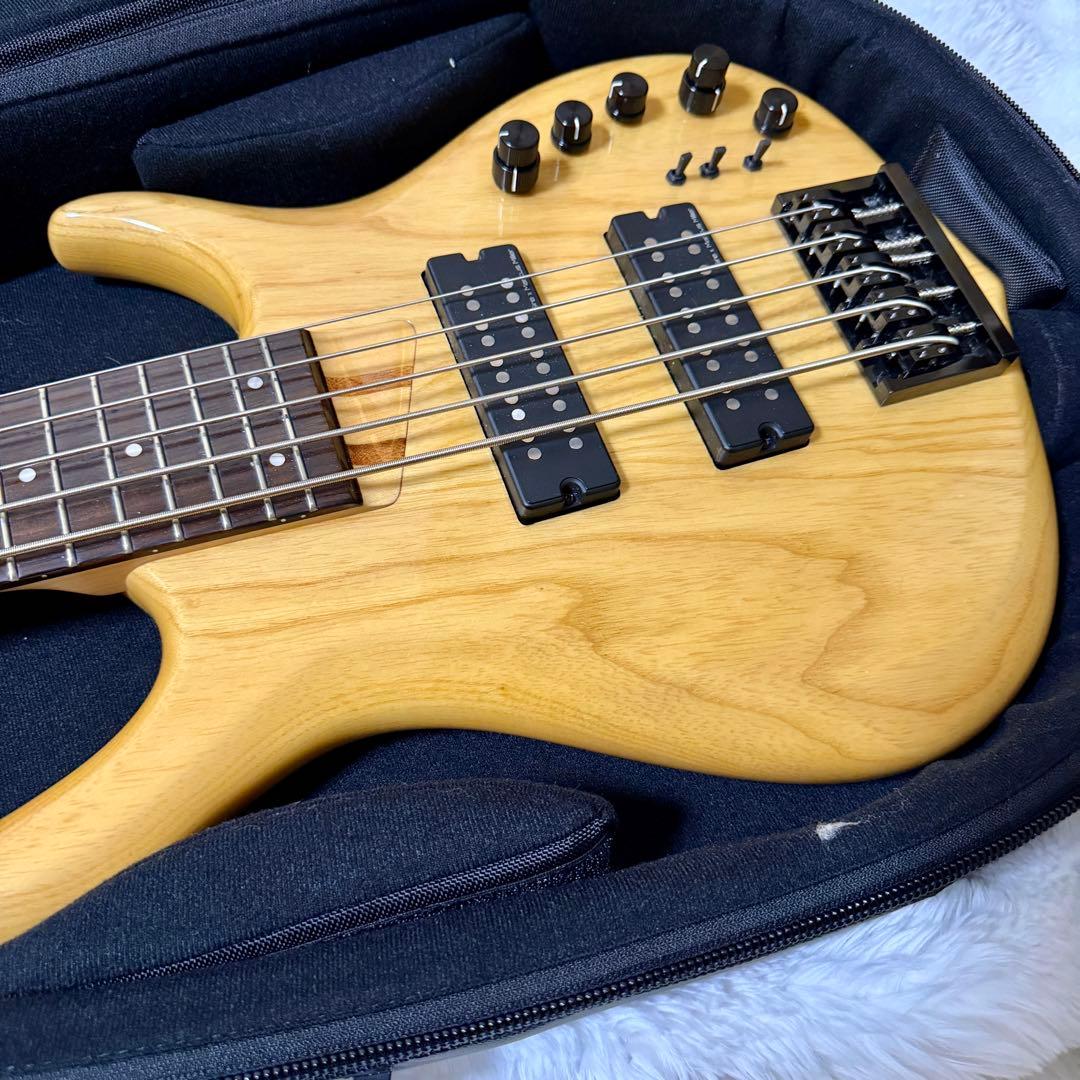 Sire M5 Ash-5NT エレキベース 専用ケース付 軽量