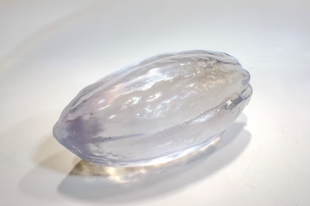 透明なカカオの実のディスプレイ（大）