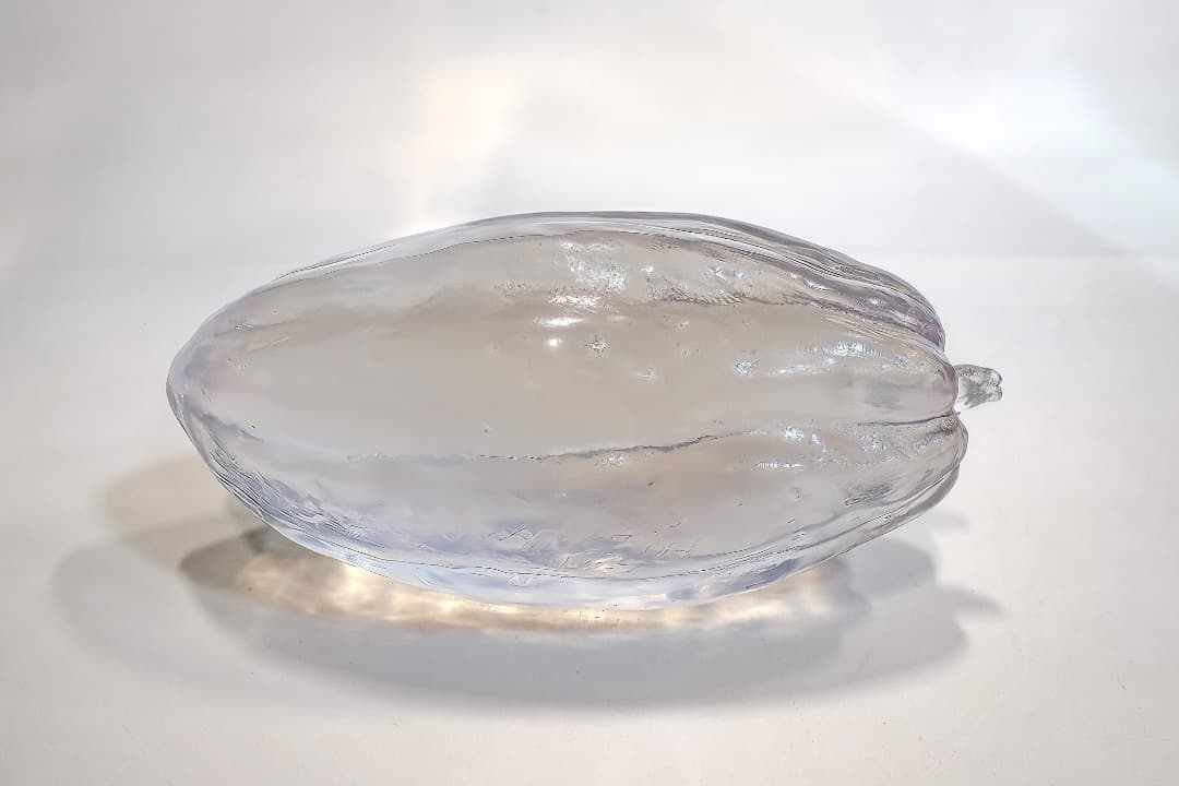 透明なカカオの実のディスプレイ（大）