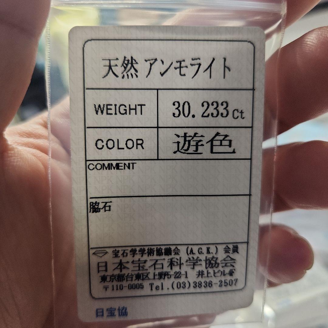 高品質！特大！天然アンモライト 30.233ct
