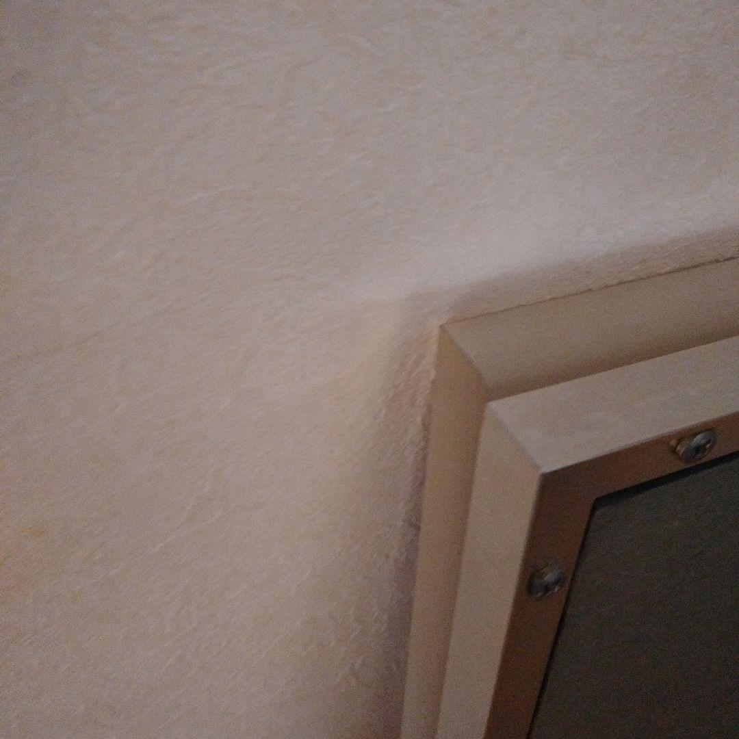 赤富士　作者田中芳園　保証書付