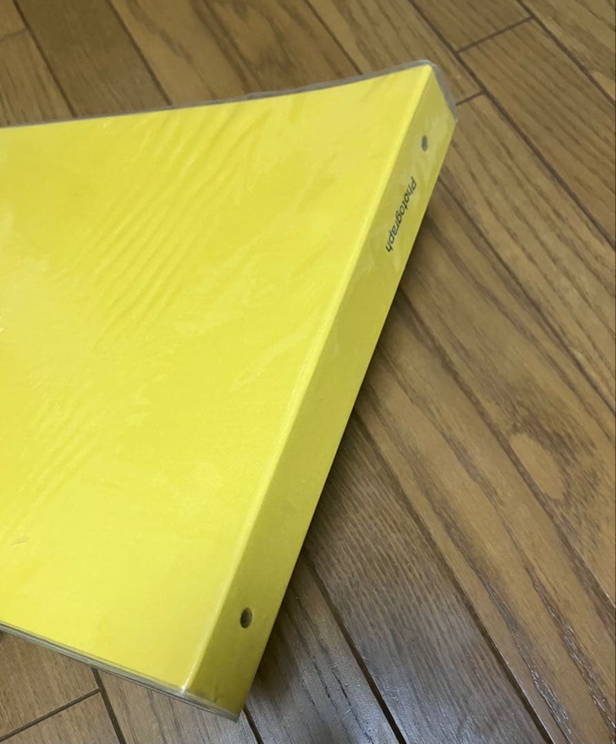 DELFONIX アルバム Lサイズ3冊 台紙75枚付