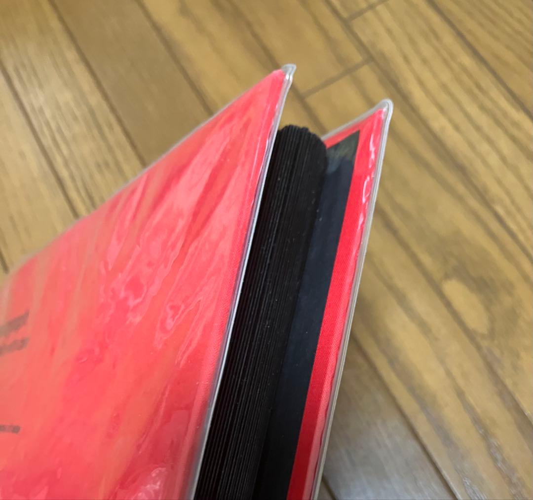 DELFONIX アルバム Lサイズ3冊 台紙75枚付