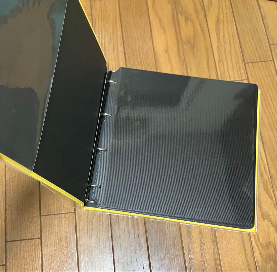 DELFONIX アルバム Lサイズ3冊 台紙75枚付