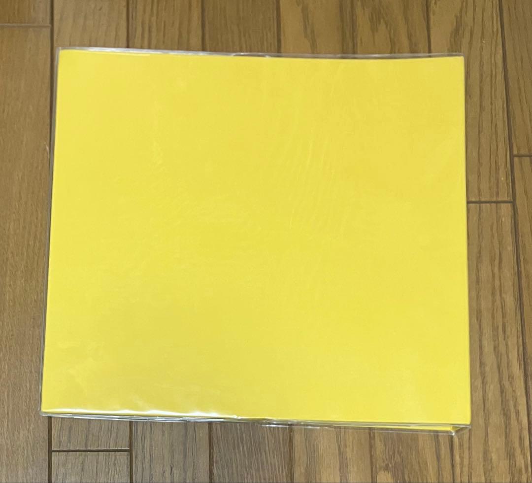 DELFONIX アルバム Lサイズ3冊 台紙75枚付