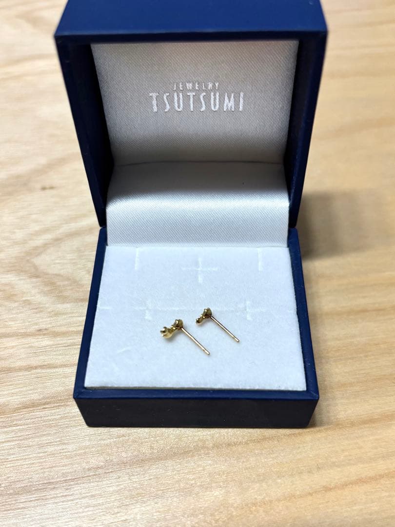 TSUTSUMI ツツミk18ピアス 星座