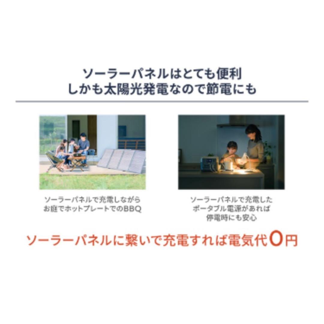 N556 EcoFlow 125W 両面ソーラーパネル ケーブル付