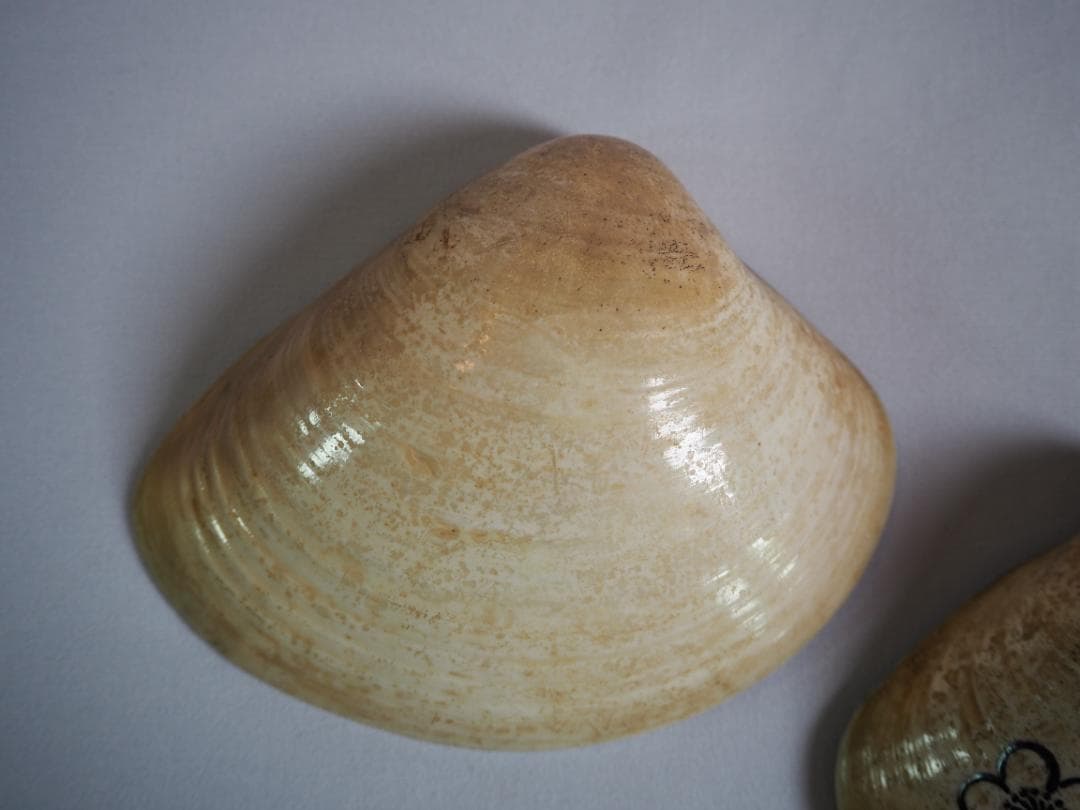 表千家12世惺斎宗左御書付・御好み『 梅蒔絵蛤香合』10代中村宗哲造（共箱）