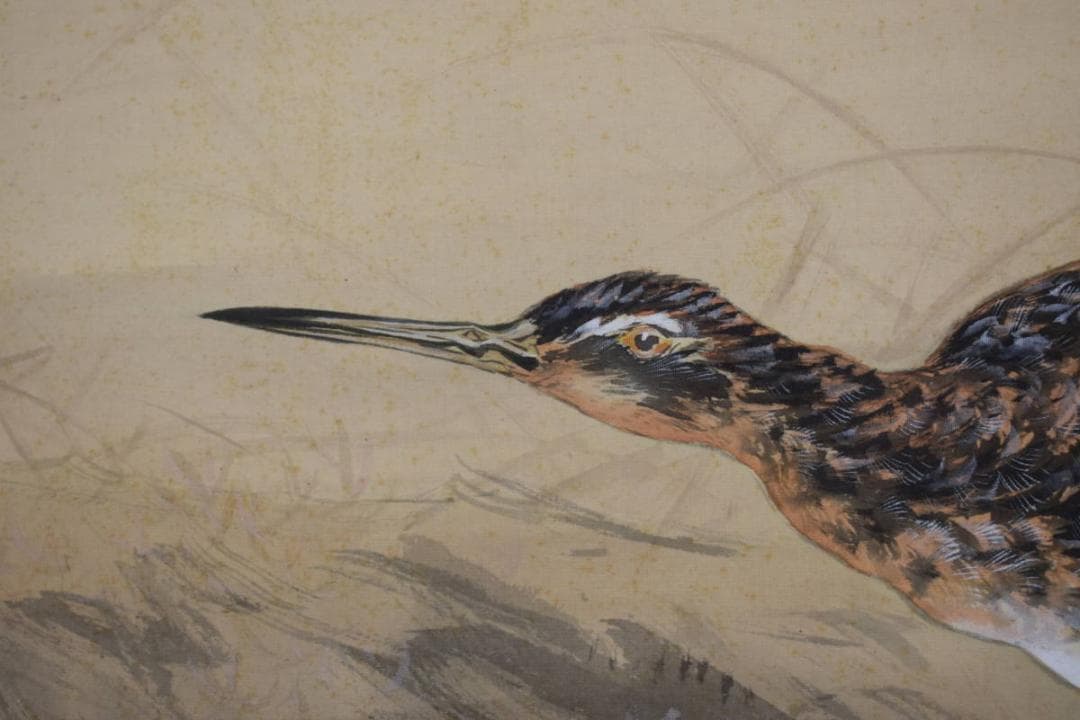 紫峰/荻田/秋草水禽図/クイナ図/掛軸/名家伝来/Z-506