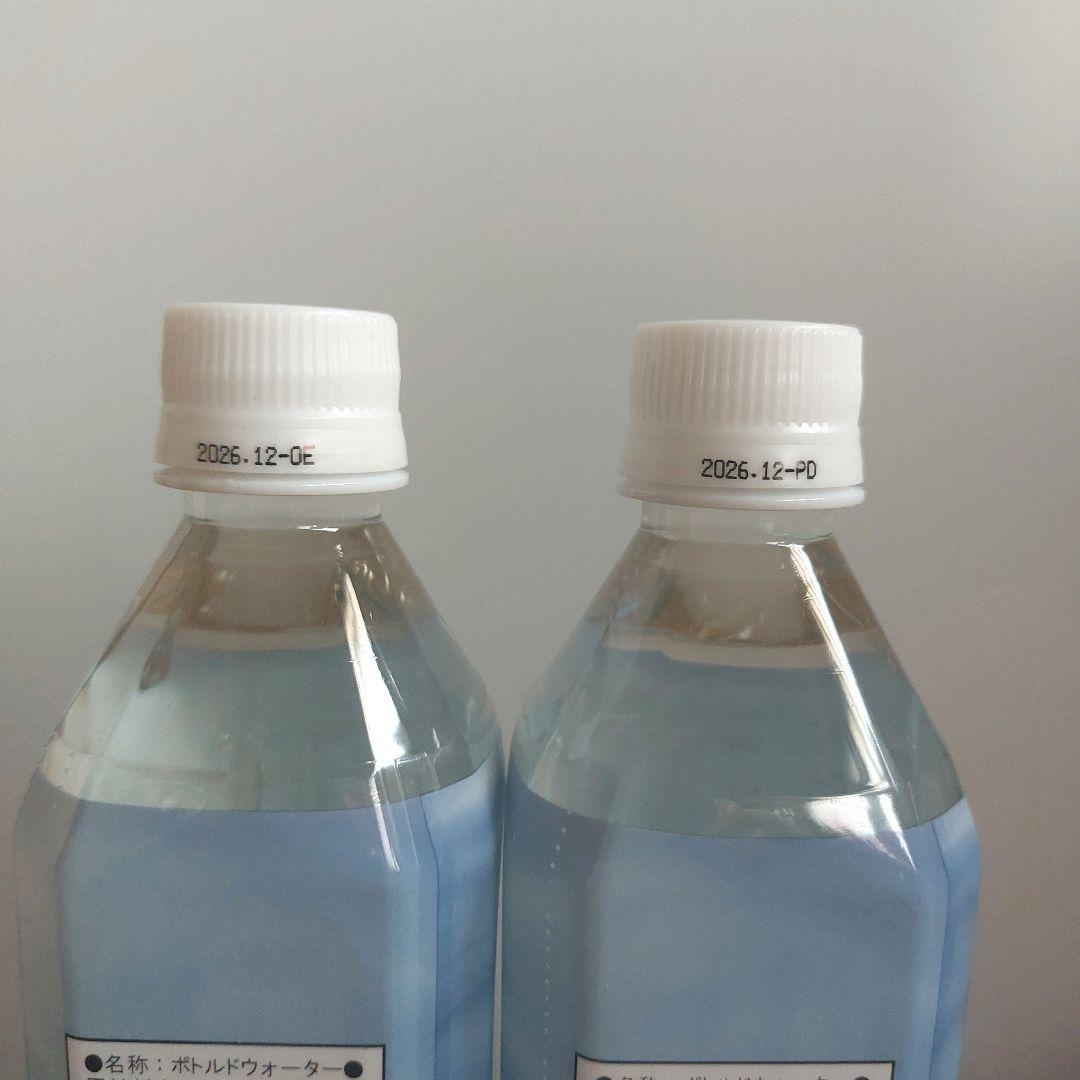 エコウォーター　Life Essence Water 600ml 2本セット　D