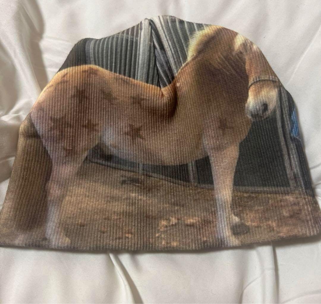 shury （Labyrins） ビーニー