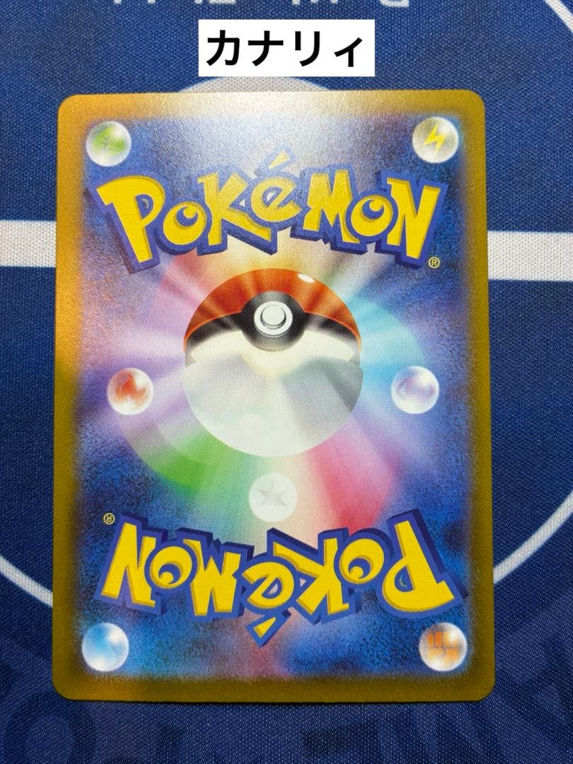 カナリィSAR メガジガルデSAR【極美品】