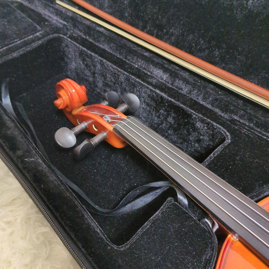 【美品】CARLO GIORDANO　VS-1　4/4　2024年