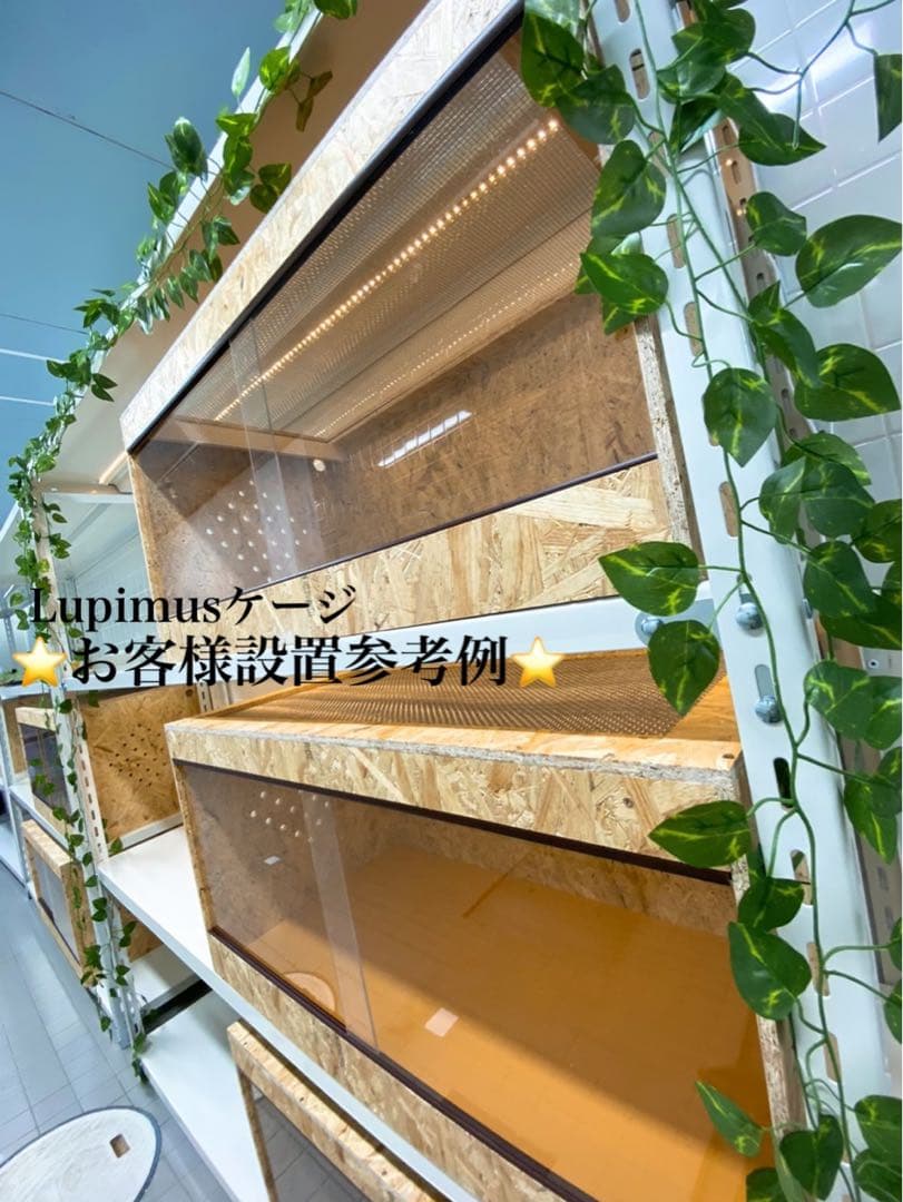 爬虫類ケージ　爬虫類飼育ケージ　90×45×45サイズ　ノーマル仕様