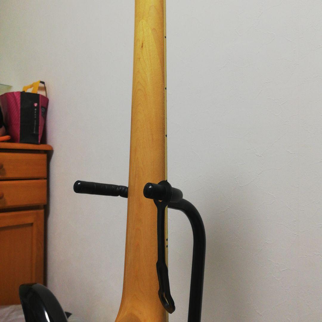 フェルナンデス　モッキンバード