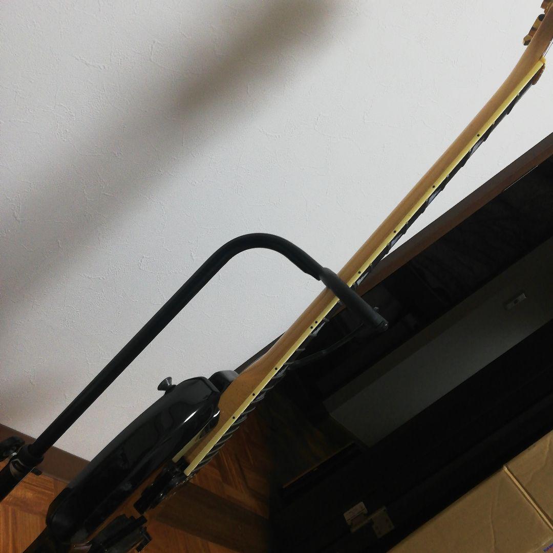 フェルナンデス　モッキンバード