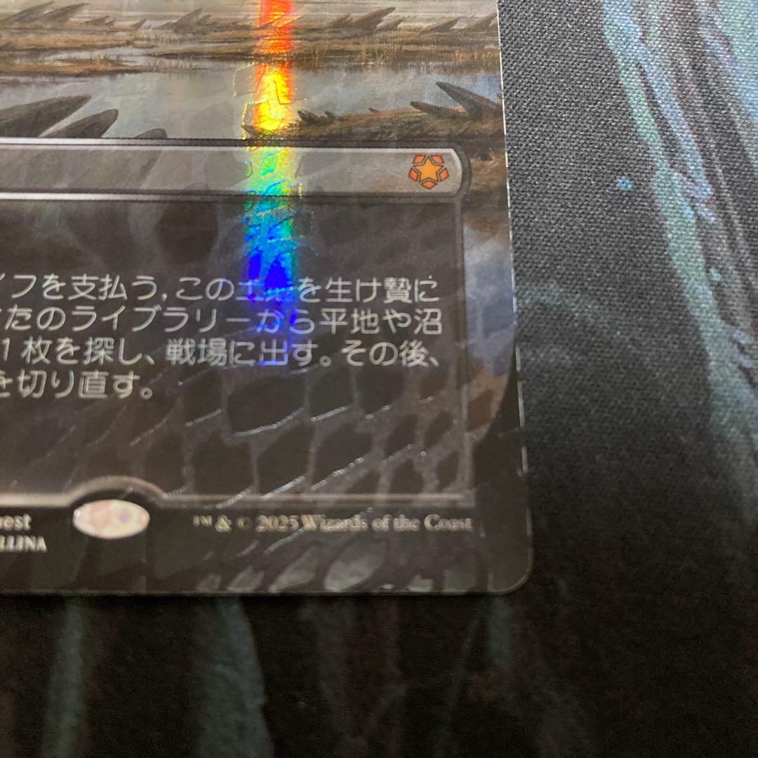 mtg 湿地の干潟 ドラゴンスケイルFoil