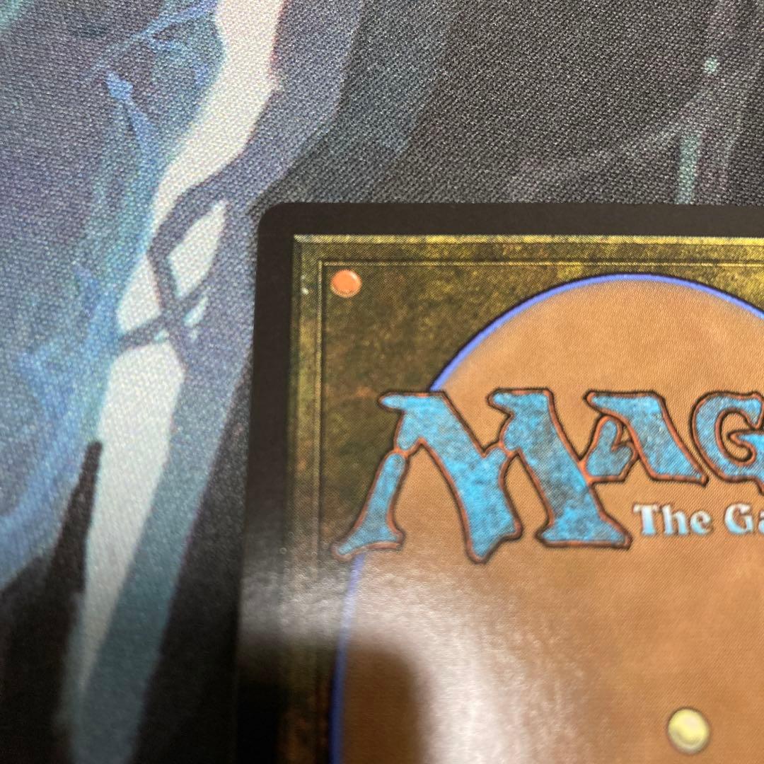 mtg 湿地の干潟 ドラゴンスケイルFoil