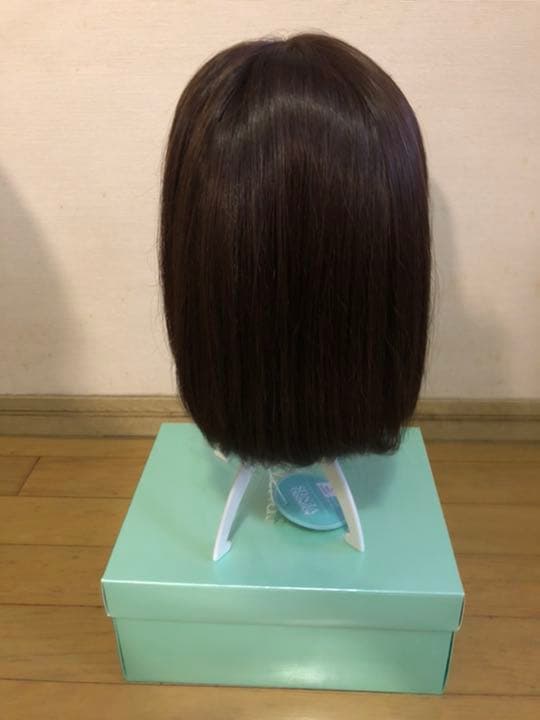 ☆試着のみ未使用☆アクアドール人毛ミックスウィッグ