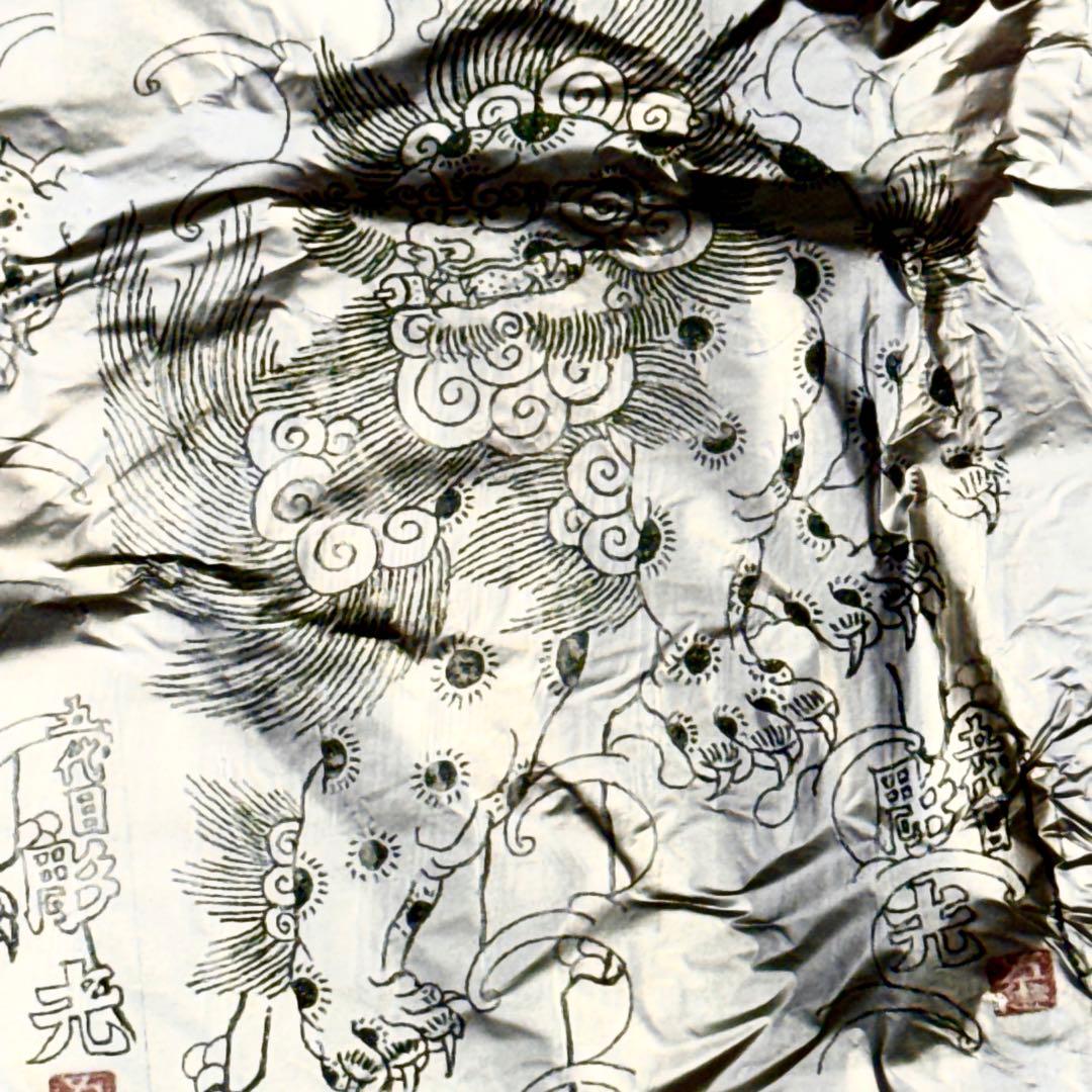 【新ジャンル誕生】Reflect-Print｜現代アート✖️唐獅子