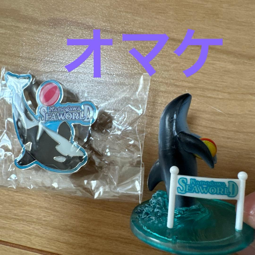 鴨川シーワールド　セット