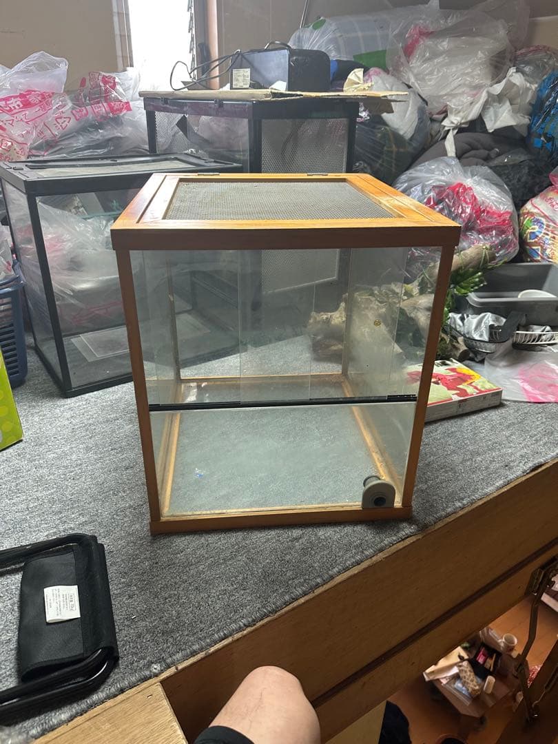 ［引き取り限定］中型ガラス飼育ケージ 600木の枝付きおまけケージ2個