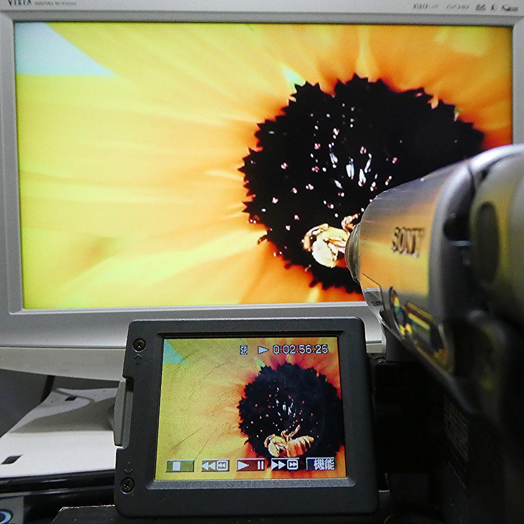 動作品 ソニーDCR-TYV22 MiniDV ビデオカメラ DVDダビングに