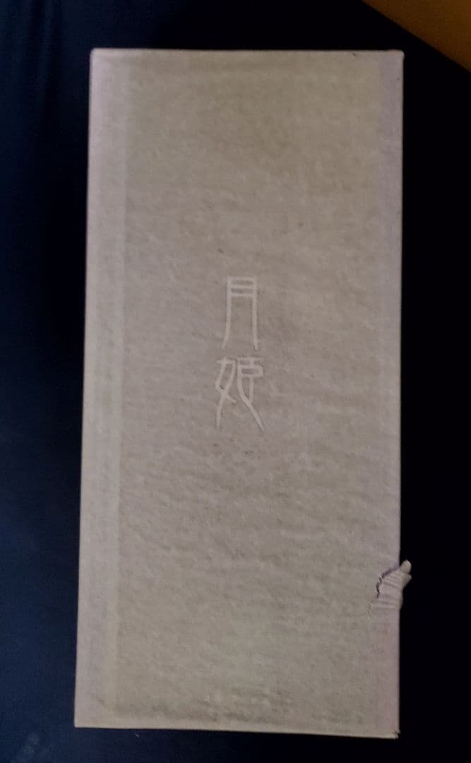 ANIPLEX 月姫　アルクェイド・ブリュンスタッド　フィギュア