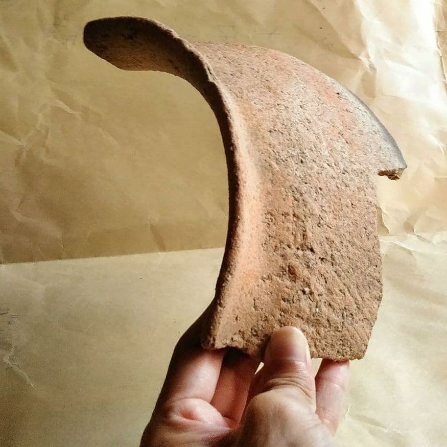 弥生時代　土器片　  MAX 22㎝　特大