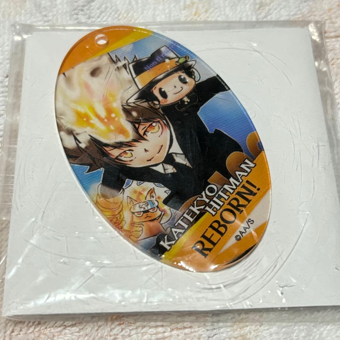 沢田綱吉 天野明展 アクキー