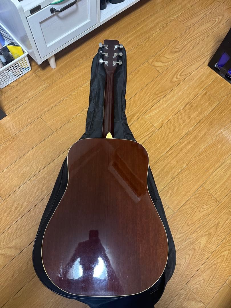 Morris アコースティックギター レッドグラデーション