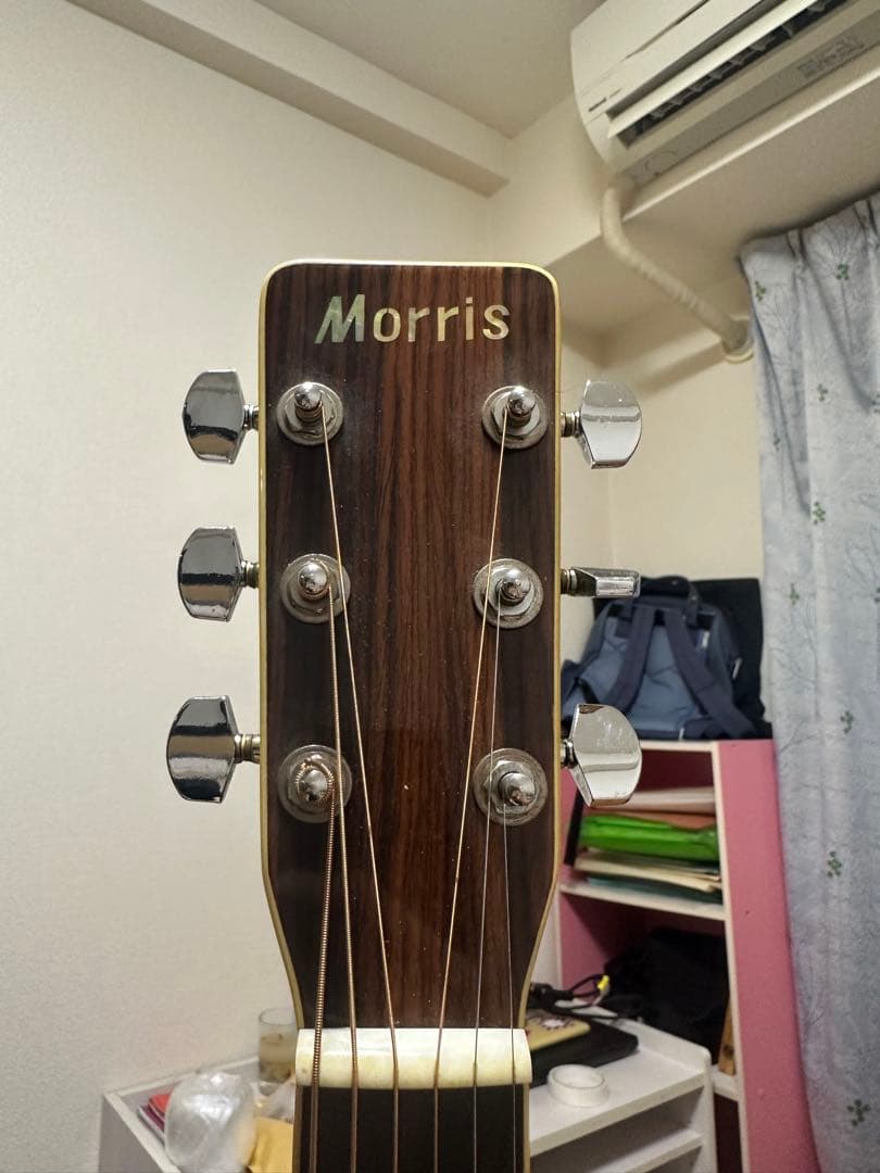 Morris アコースティックギター レッドグラデーション
