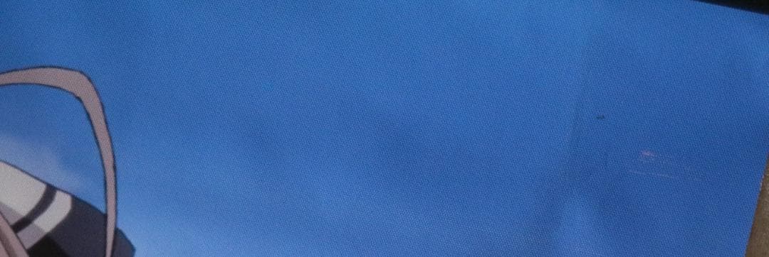 c‹甘城ブリリアントパーク›　いすず　&　ラティファ　水着　タペストリー