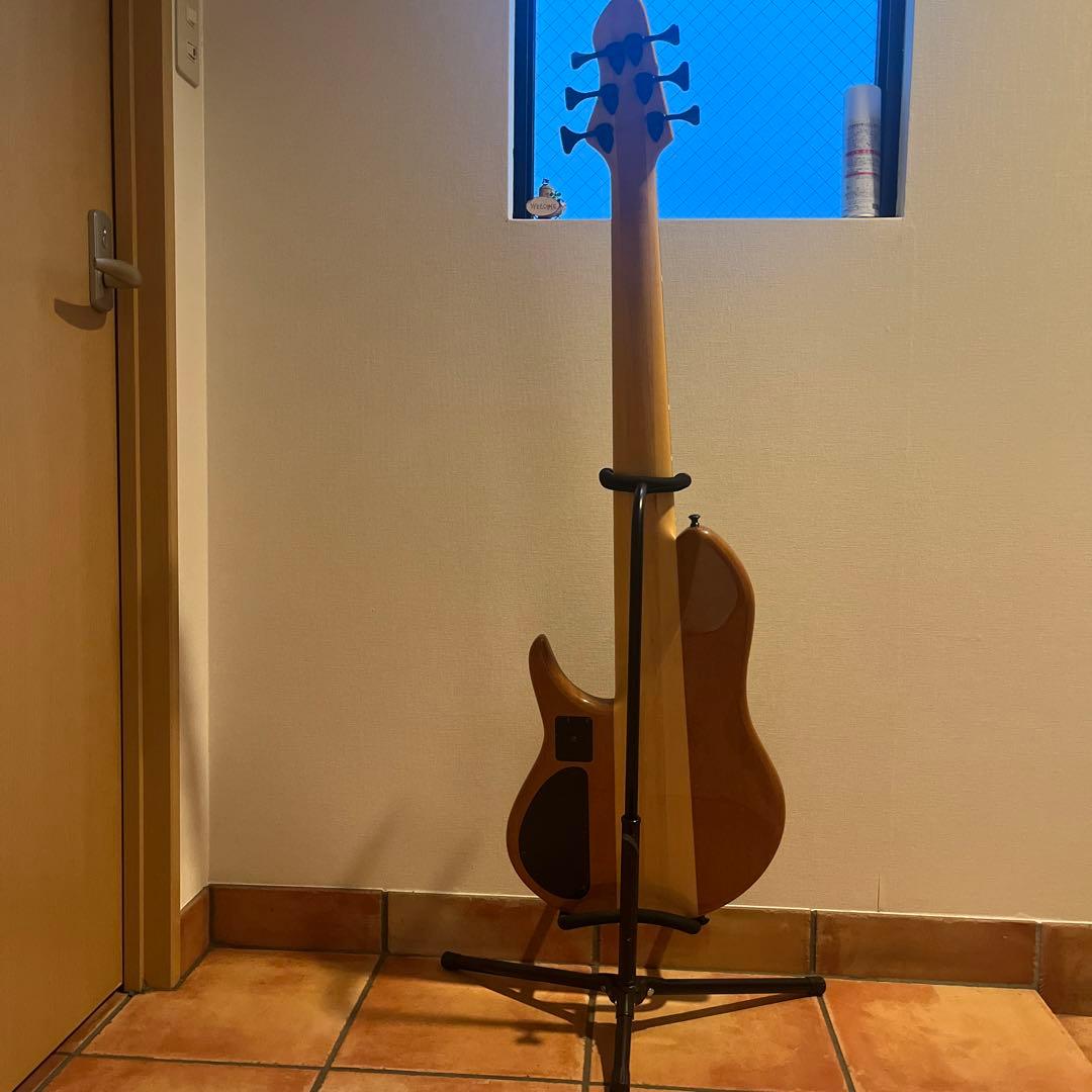 ベース Phoenix/PHS-6 SC Buckeye Burl