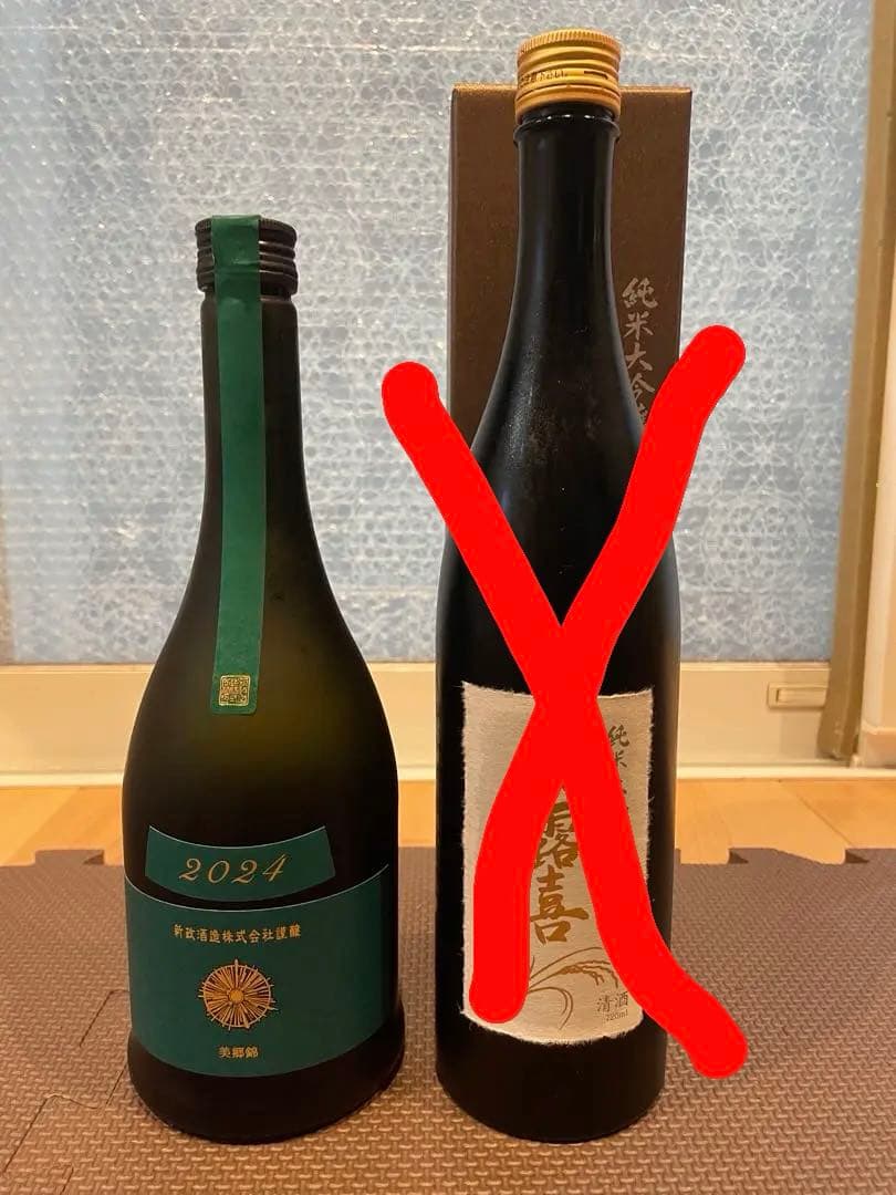 2024新政ヴィリジアン