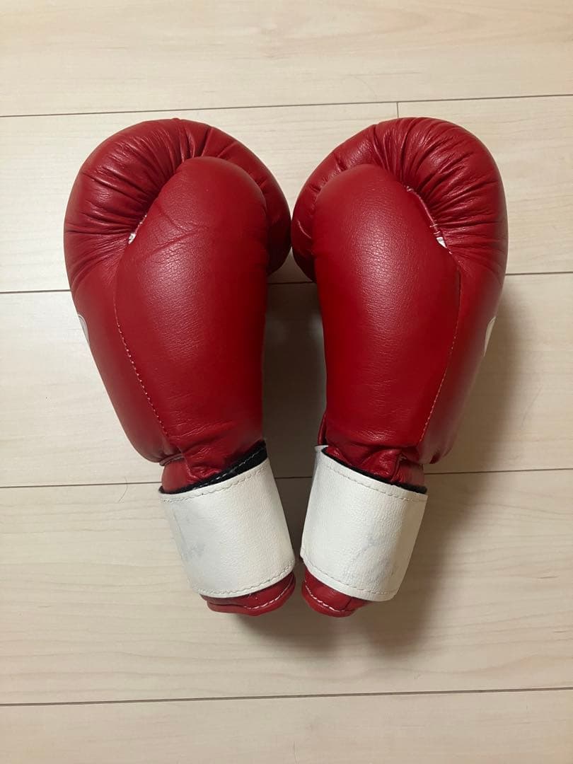 winning ウィニングボクシンググローブ レッド10オンス AM-10