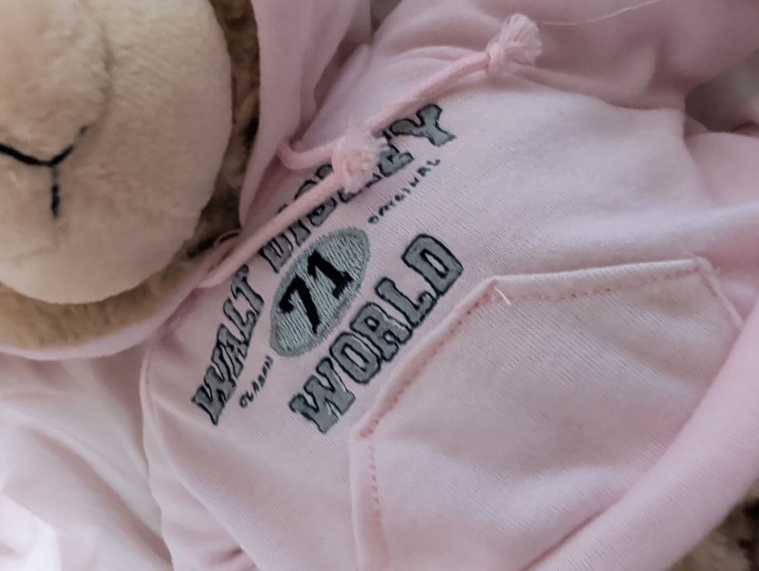 WDW☆ ピンクパーカー ダッフィーぬいぐるみ ☆☆タン毛