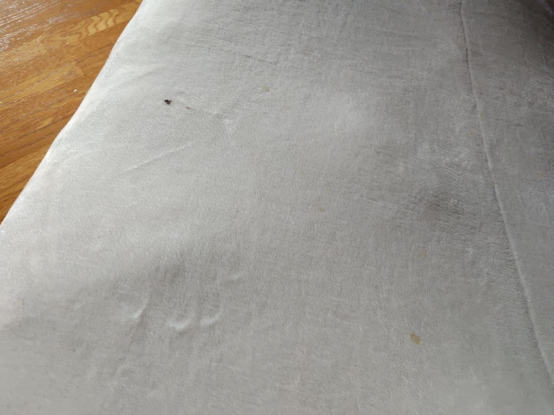 2mたん　しろたん　ぬいぐるみ