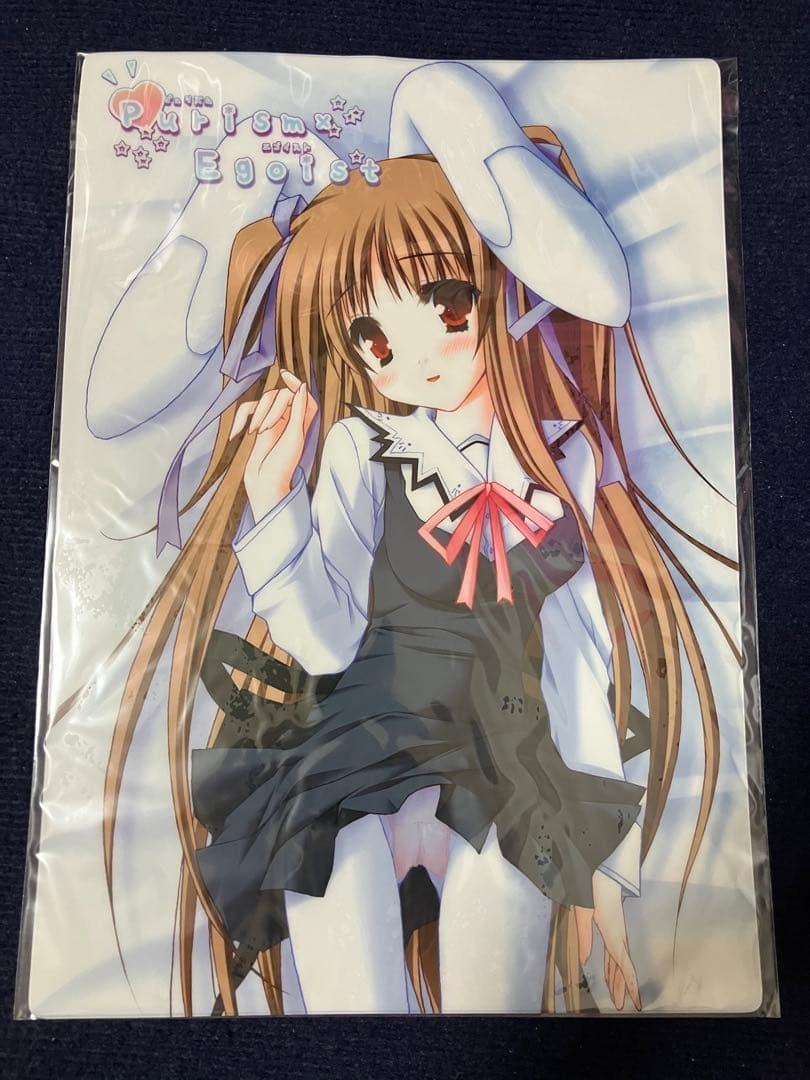 【非売品】Purism×Egoist 萌木原ふみたけ A3 ビニールポスター