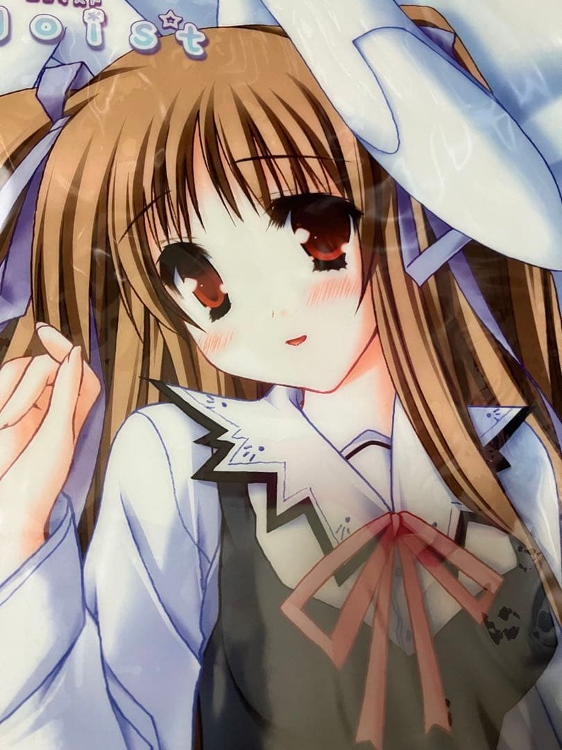 【非売品】Purism×Egoist 萌木原ふみたけ A3 ビニールポスター