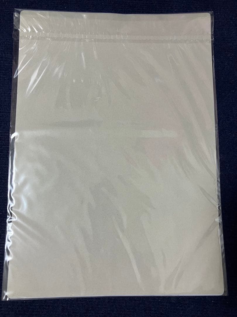 【非売品】Purism×Egoist 萌木原ふみたけ A3 ビニールポスター