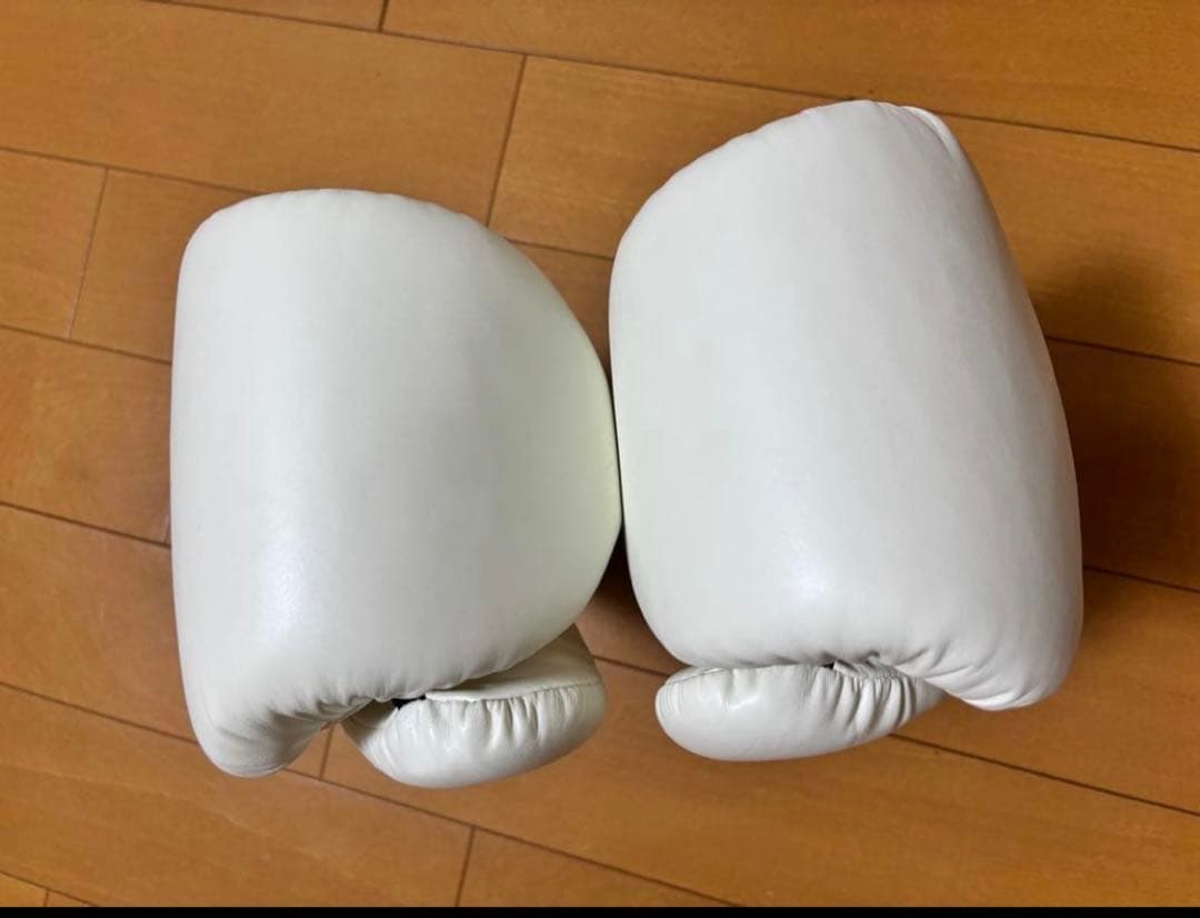 TWINS SPECIAL 14 oz ボクシンググローブ